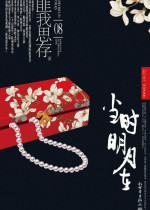 当时明月在